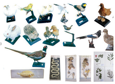 幼儿园用品价钱